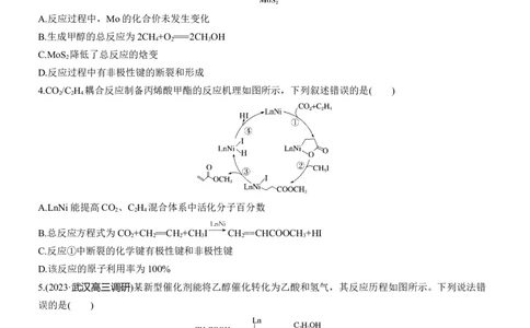 专题五　选择题专攻2　催化机理循环图淘宝店：红太阳资料库_05高考化学_2025年新高考资料_二轮复习_2025年高考化学大二轮_2025化学二轮复习_题型突破练+考前特训