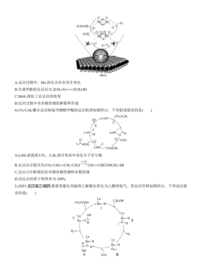 专题五　选择题专攻2　催化机理循环图淘宝店：红太阳资料库_05高考化学_2025年新高考资料_二轮复习_2025年高考化学大二轮_2025化学二轮复习_题型突破练+考前特训