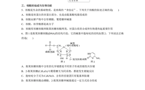 大单元五　第十四章　第66讲　生物大分子　合成高分子_05高考化学_2025年新高考资料_一轮复习_2025大一轮复习讲义+课件（完结）_2025大一轮复习讲义化学学生用书Word版文档全书