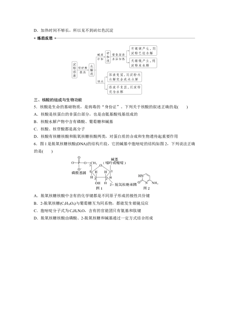 大单元五　第十四章　第66讲　生物大分子　合成高分子_05高考化学_2025年新高考资料_一轮复习_2025大一轮复习讲义+课件（完结）_2025大一轮复习讲义化学学生用书Word版文档全书