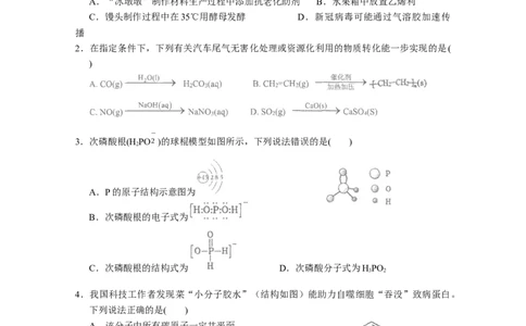 广东省汕头市金山中学2022-2023学年高三上学期第二次月考化学试题_05高考化学_高考模拟题_新高考