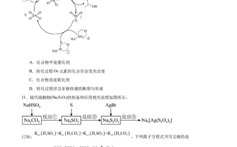 信息必刷卷04（陕西、山西、宁夏、青海专用）（原卷版）_05高考化学_2025年新高考资料_2025考前信息卷_2025年高考化学考前信息必刷卷（陕西、山西、宁夏、青海专用）34342235