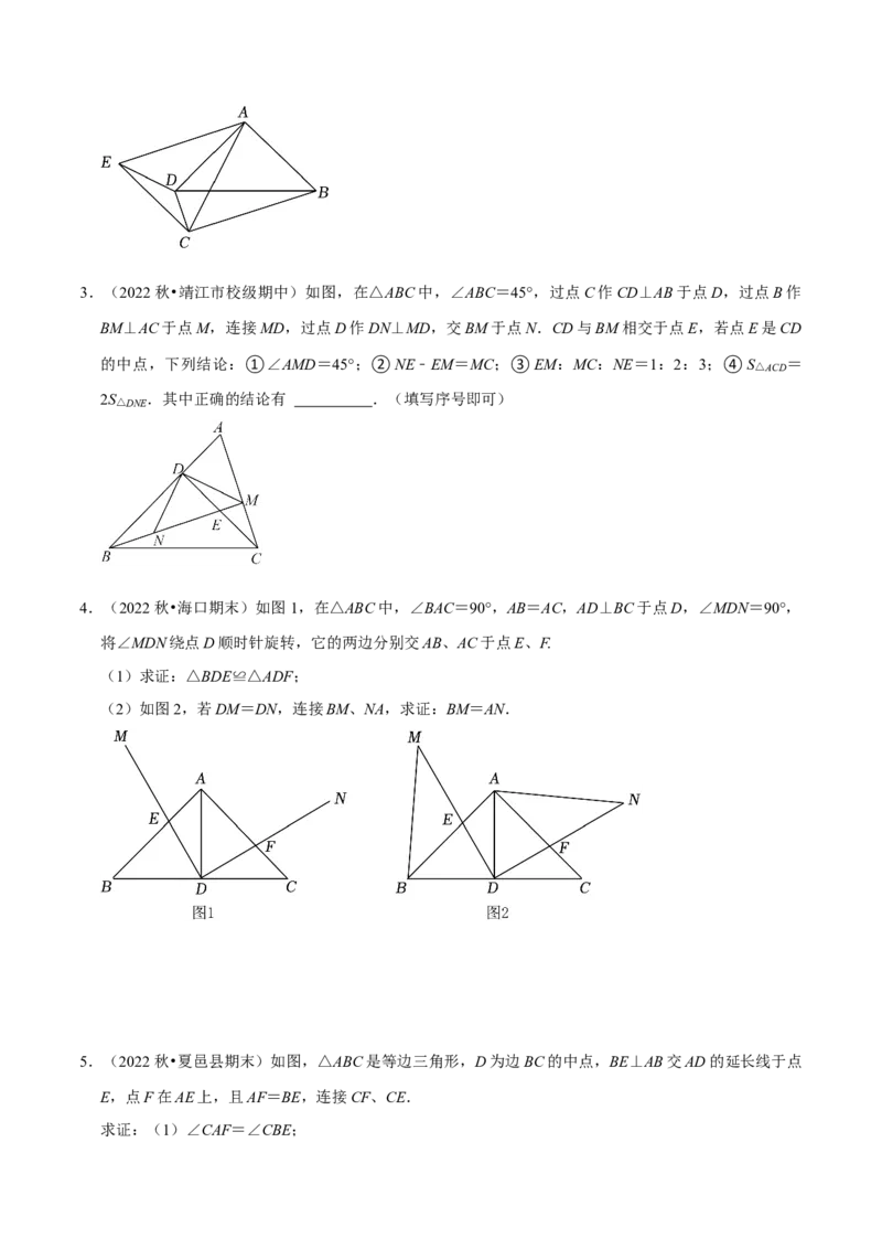 猜想02全等三角形（5种解题模型专练）（原卷版）_初中数学人教版_8上-初中数学人教版_旧版_06习题试卷_6期中期末复习专题