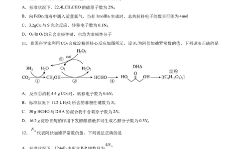 专题二能力提升检测卷-2024年高考化学大一轮复习精讲精练+专题讲座（原卷版）_05高考化学_2024年新高考资料_1.2024一轮复习_2024年高考化学大一轮复习精讲精练+专题讲座