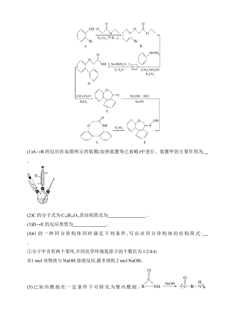 专题十五　生命活动的物质基础有机合成（含答案）_05高考化学_2025年新高考资料_专项练习_2025高考化学专题练习（含答案）（完结）