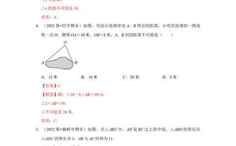 满分秘诀专题01三角形（考点突破）（解析版）_初中数学人教版_8上-初中数学人教版_旧版_06习题试卷_6期中期末复习专题