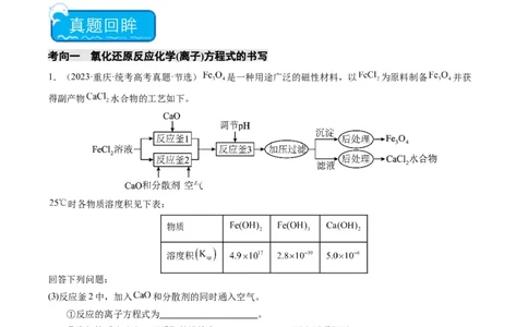 热点01陌生化学(离子)方程式的书写-2024年高考化学热点&middot;重点&middot;难点专练（新高考专用）（原卷版）_05高考化学_2024年新高考资料_3.2024专项复习