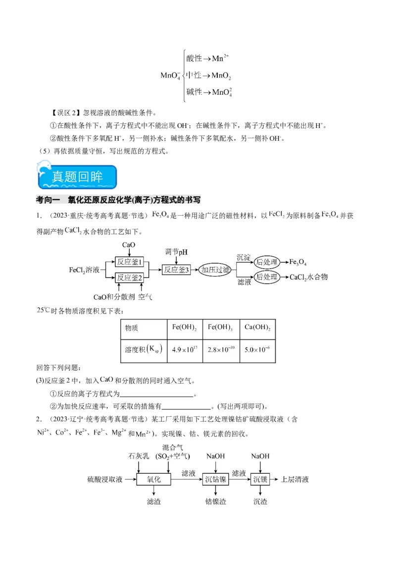 热点01陌生化学(离子)方程式的书写-2024年高考化学热点&middot;重点&middot;难点专练（新高考专用）（原卷版）_05高考化学_2024年新高考资料_3.2024专项复习