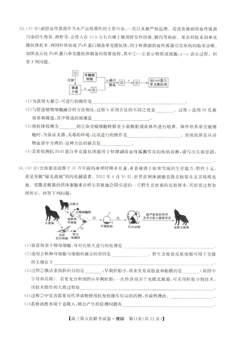 山西省部分学校2022-2023学年高三年级第五次联考理科综合试题_05高考化学_高考模拟题_全国课标版_山西省部分学校2022-2023学年高三上学期第五次联考理科综合试题