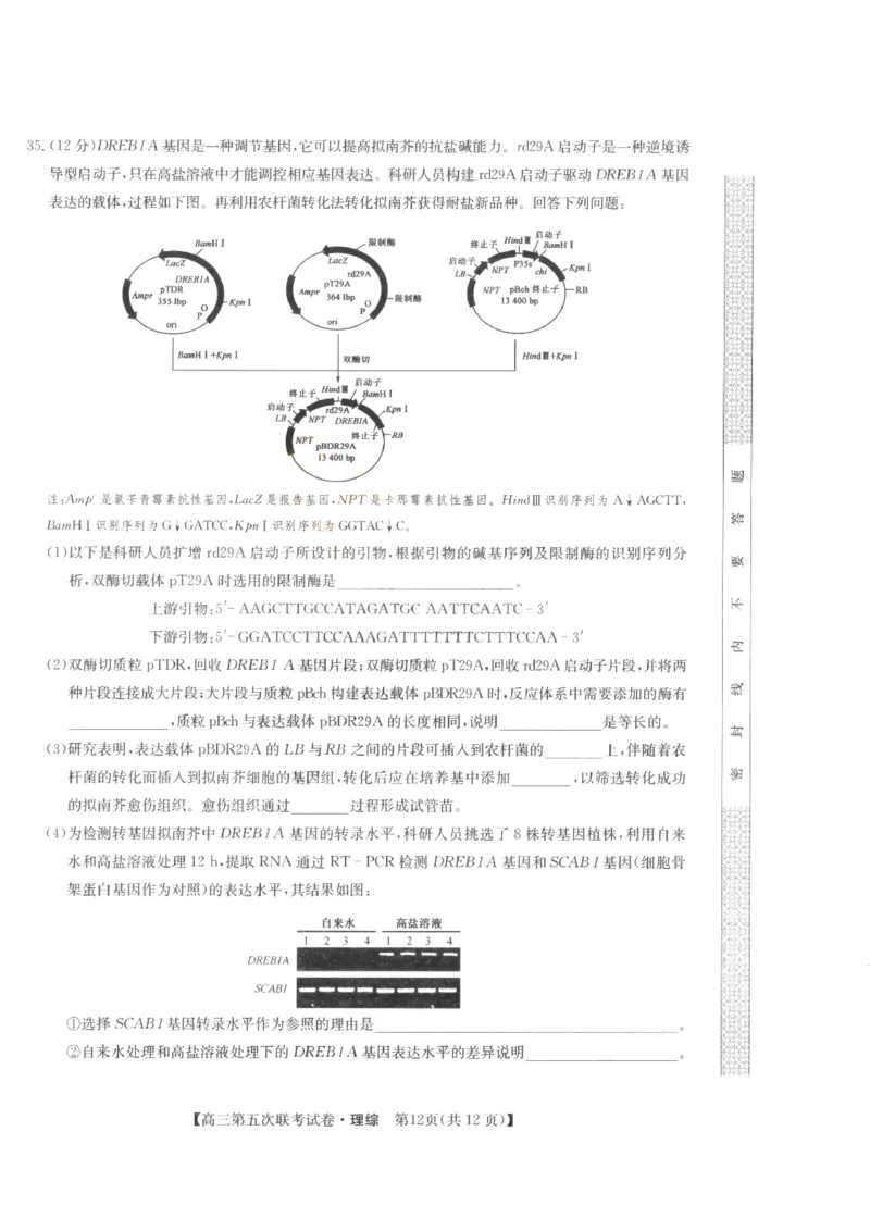 山西省部分学校2022-2023学年高三年级第五次联考理科综合试题_05高考化学_高考模拟题_全国课标版_山西省部分学校2022-2023学年高三上学期第五次联考理科综合试题