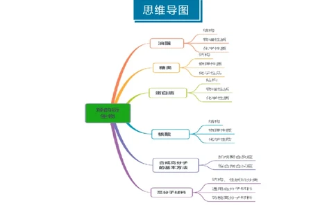 知识清单28生物大分子、合成高分子（解析版）_05高考化学_2025年新高考资料_一轮复习_上好课2025年高考化学一轮复习知识清单3246985