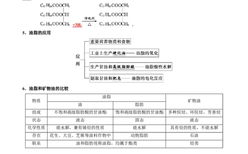 知识清单28生物大分子、合成高分子（解析版）_05高考化学_2025年新高考资料_一轮复习_上好课2025年高考化学一轮复习知识清单3246985