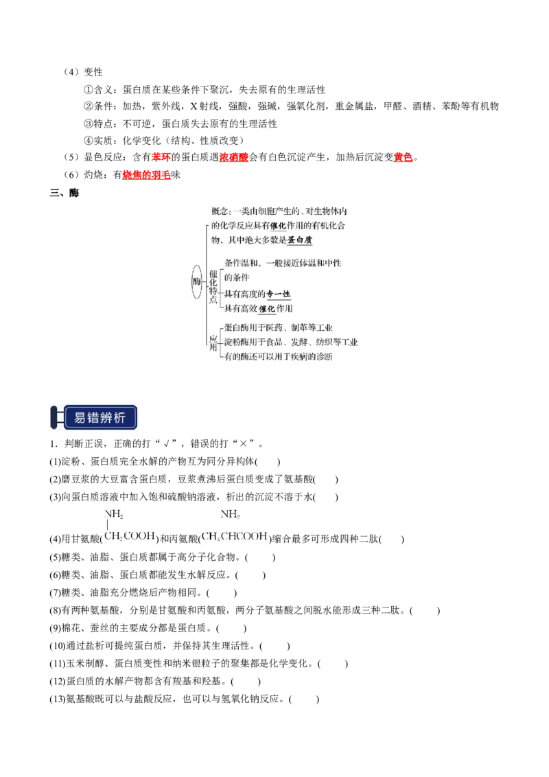 知识清单28生物大分子、合成高分子（解析版）_05高考化学_2025年新高考资料_一轮复习_上好课2025年高考化学一轮复习知识清单3246985