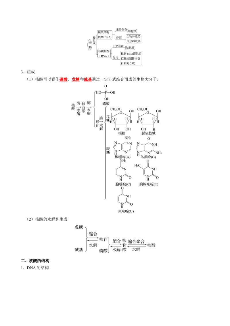 知识清单28生物大分子、合成高分子（解析版）_05高考化学_2025年新高考资料_一轮复习_上好课2025年高考化学一轮复习知识清单3246985
