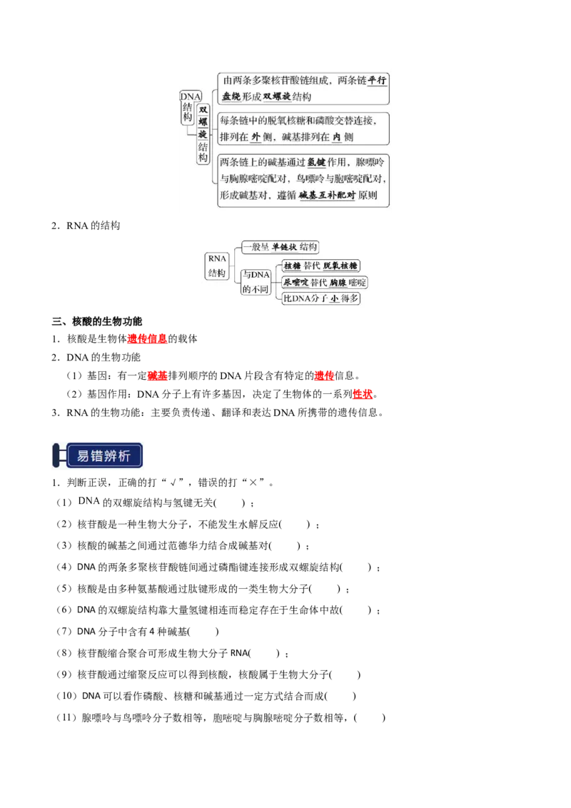知识清单28生物大分子、合成高分子（解析版）_05高考化学_2025年新高考资料_一轮复习_上好课2025年高考化学一轮复习知识清单3246985