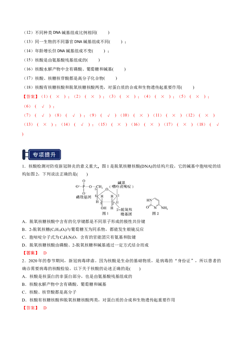 知识清单28生物大分子、合成高分子（解析版）_05高考化学_2025年新高考资料_一轮复习_上好课2025年高考化学一轮复习知识清单3246985
