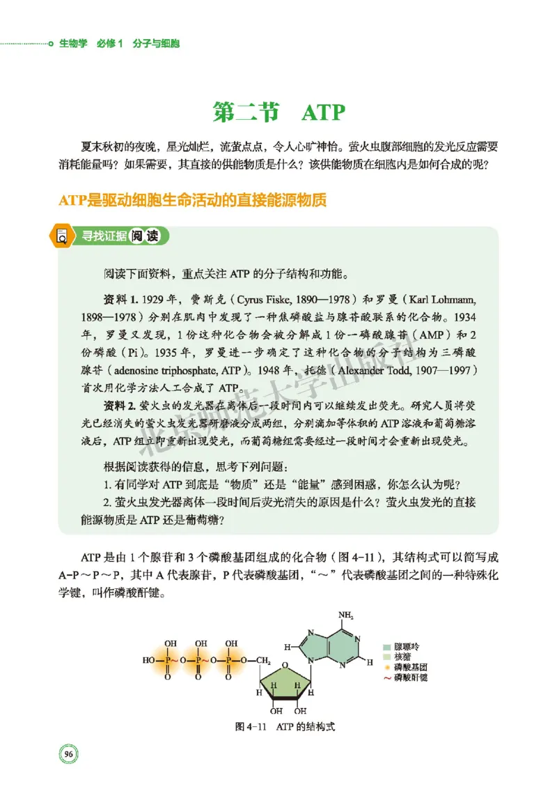 普通高中教科书&middot;生物学必修1分子与细胞(1)_高中全套电子教材及答案。_01高中电子教材全套_生物学_北师大版_高中年级_必修1分子与细胞