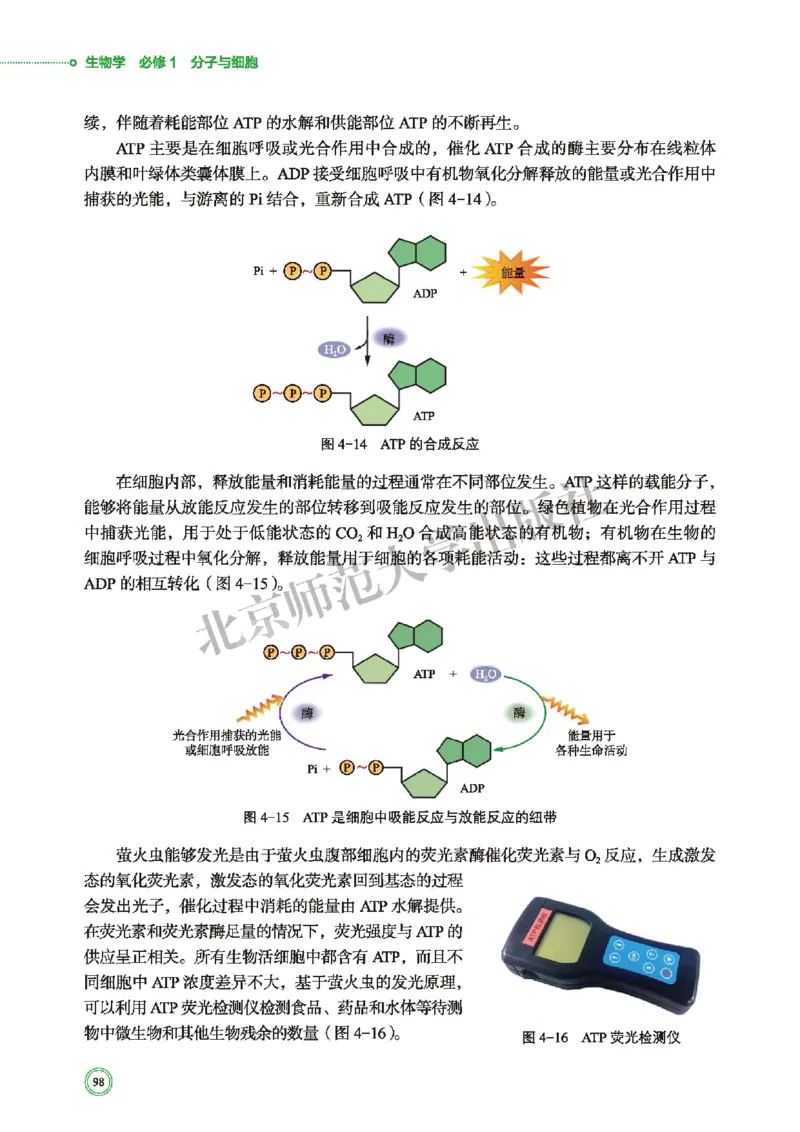 普通高中教科书&middot;生物学必修1分子与细胞(1)_高中全套电子教材及答案。_01高中电子教材全套_生物学_北师大版_高中年级_必修1分子与细胞