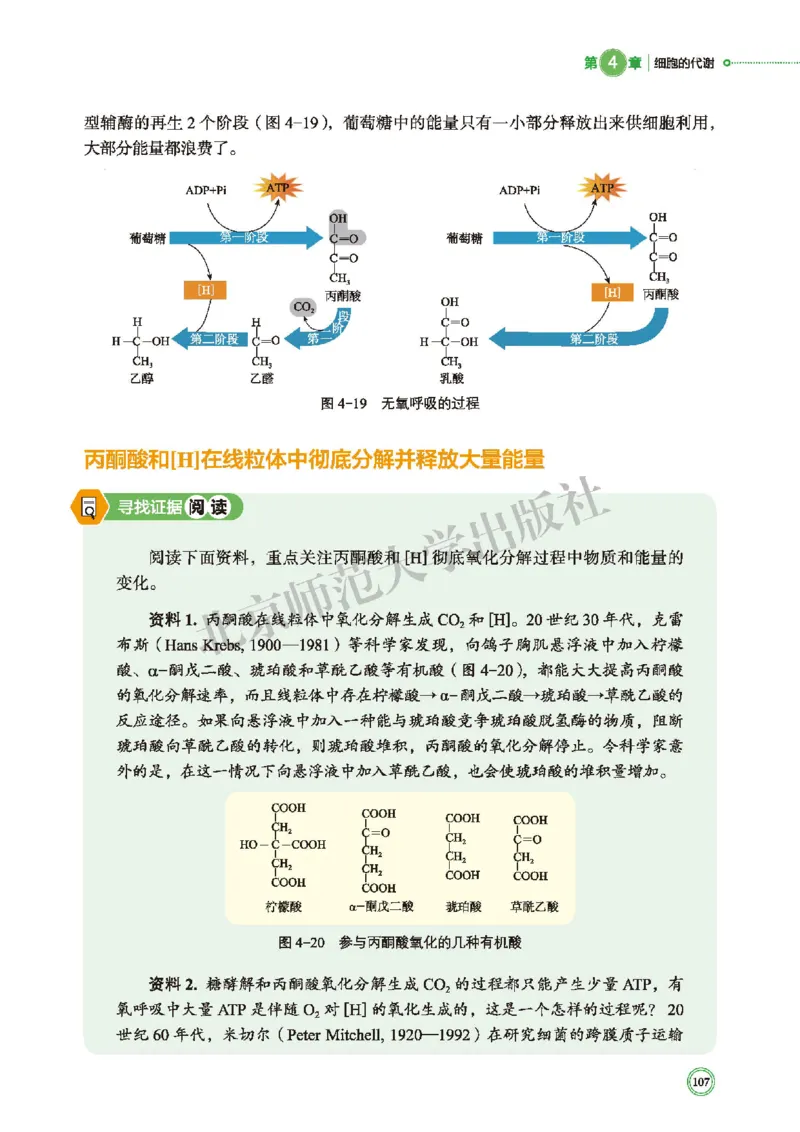 普通高中教科书&middot;生物学必修1分子与细胞(1)_高中全套电子教材及答案。_01高中电子教材全套_生物学_北师大版_高中年级_必修1分子与细胞