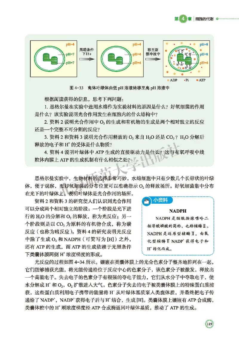 普通高中教科书&middot;生物学必修1分子与细胞(1)_高中全套电子教材及答案。_01高中电子教材全套_生物学_北师大版_高中年级_必修1分子与细胞