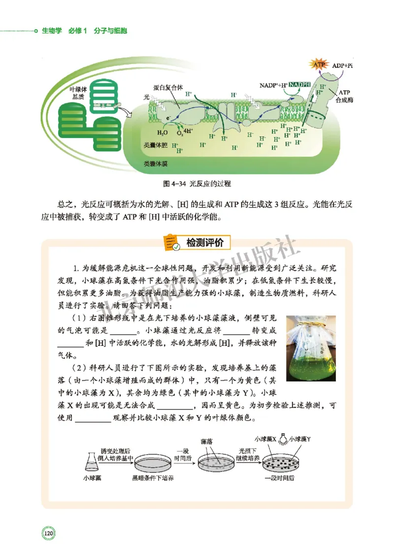 普通高中教科书&middot;生物学必修1分子与细胞(1)_高中全套电子教材及答案。_01高中电子教材全套_生物学_北师大版_高中年级_必修1分子与细胞