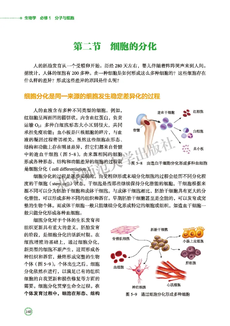 普通高中教科书&middot;生物学必修1分子与细胞(1)_高中全套电子教材及答案。_01高中电子教材全套_生物学_北师大版_高中年级_必修1分子与细胞