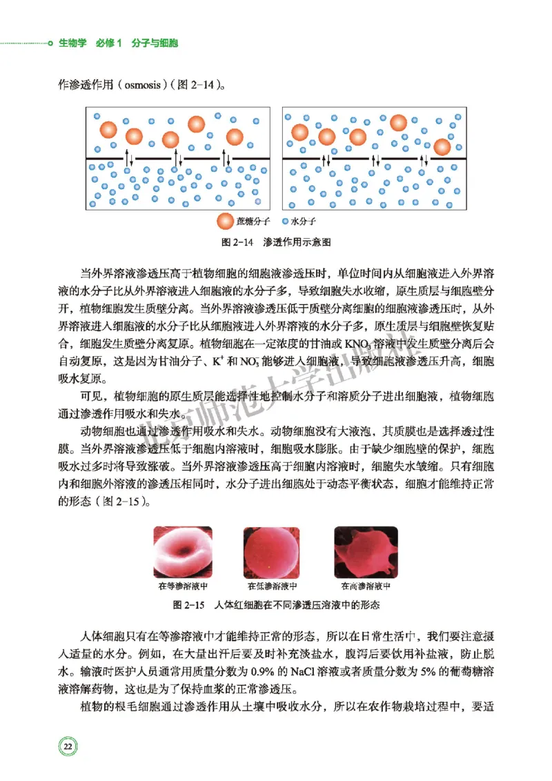 普通高中教科书&middot;生物学必修1分子与细胞(1)_高中全套电子教材及答案。_01高中电子教材全套_生物学_北师大版_高中年级_必修1分子与细胞