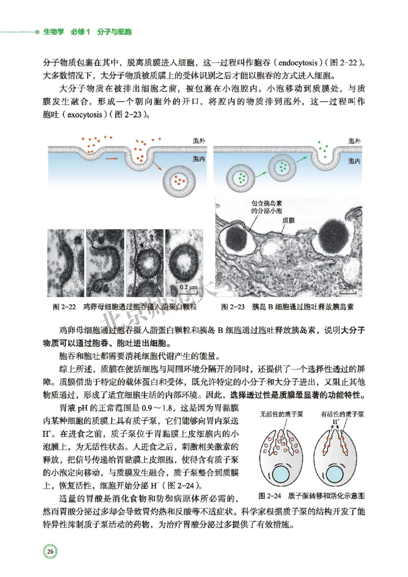 普通高中教科书&middot;生物学必修1分子与细胞(1)_高中全套电子教材及答案。_01高中电子教材全套_生物学_北师大版_高中年级_必修1分子与细胞