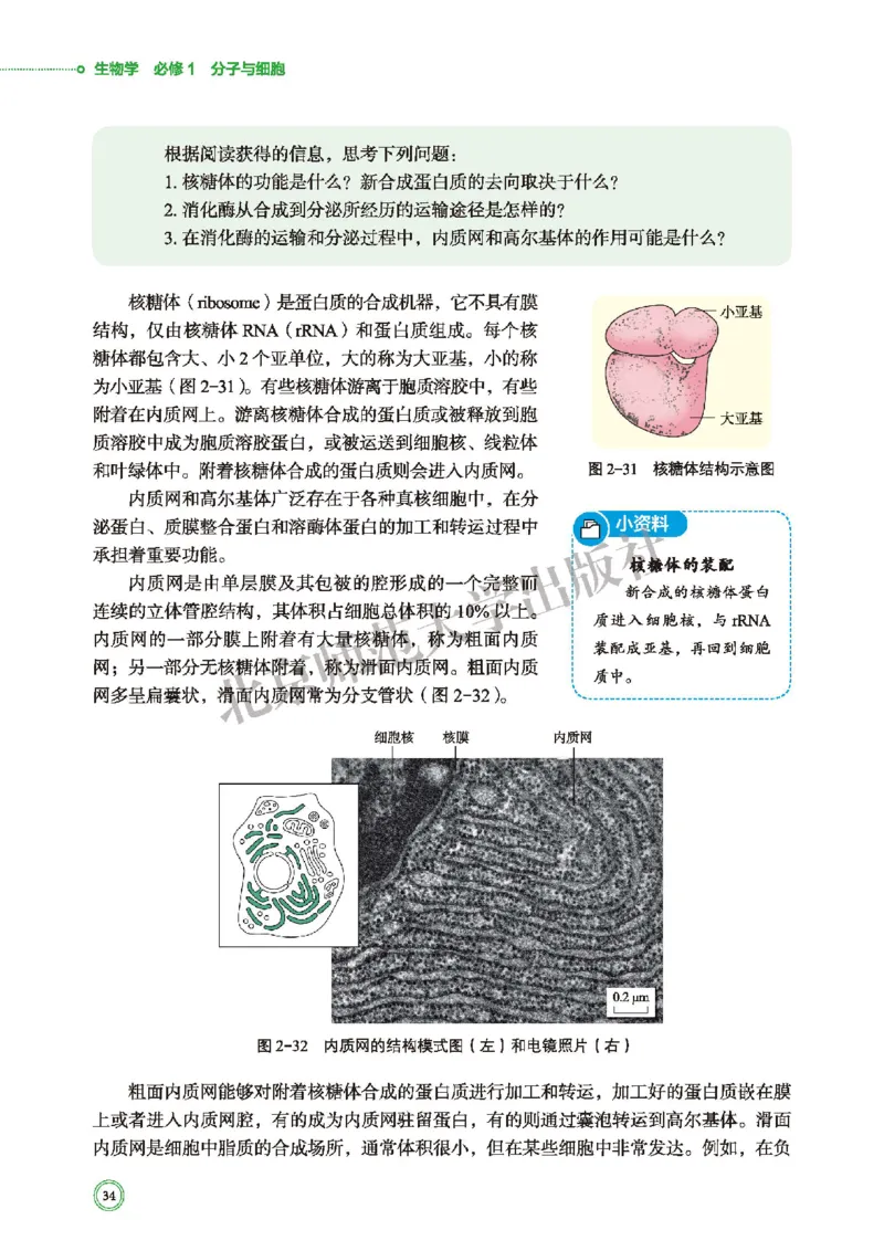 普通高中教科书&middot;生物学必修1分子与细胞(1)_高中全套电子教材及答案。_01高中电子教材全套_生物学_北师大版_高中年级_必修1分子与细胞