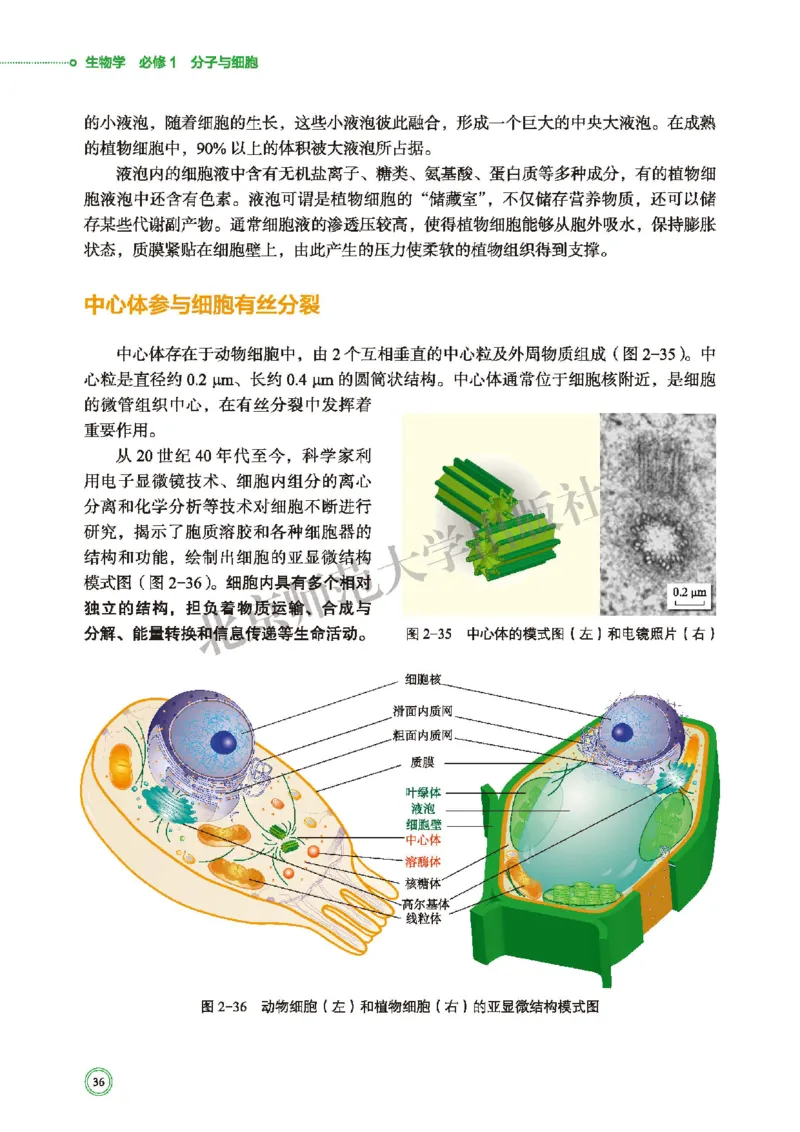 普通高中教科书&middot;生物学必修1分子与细胞(1)_高中全套电子教材及答案。_01高中电子教材全套_生物学_北师大版_高中年级_必修1分子与细胞