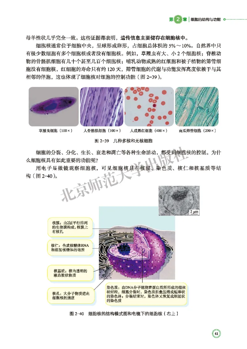 普通高中教科书&middot;生物学必修1分子与细胞(1)_高中全套电子教材及答案。_01高中电子教材全套_生物学_北师大版_高中年级_必修1分子与细胞