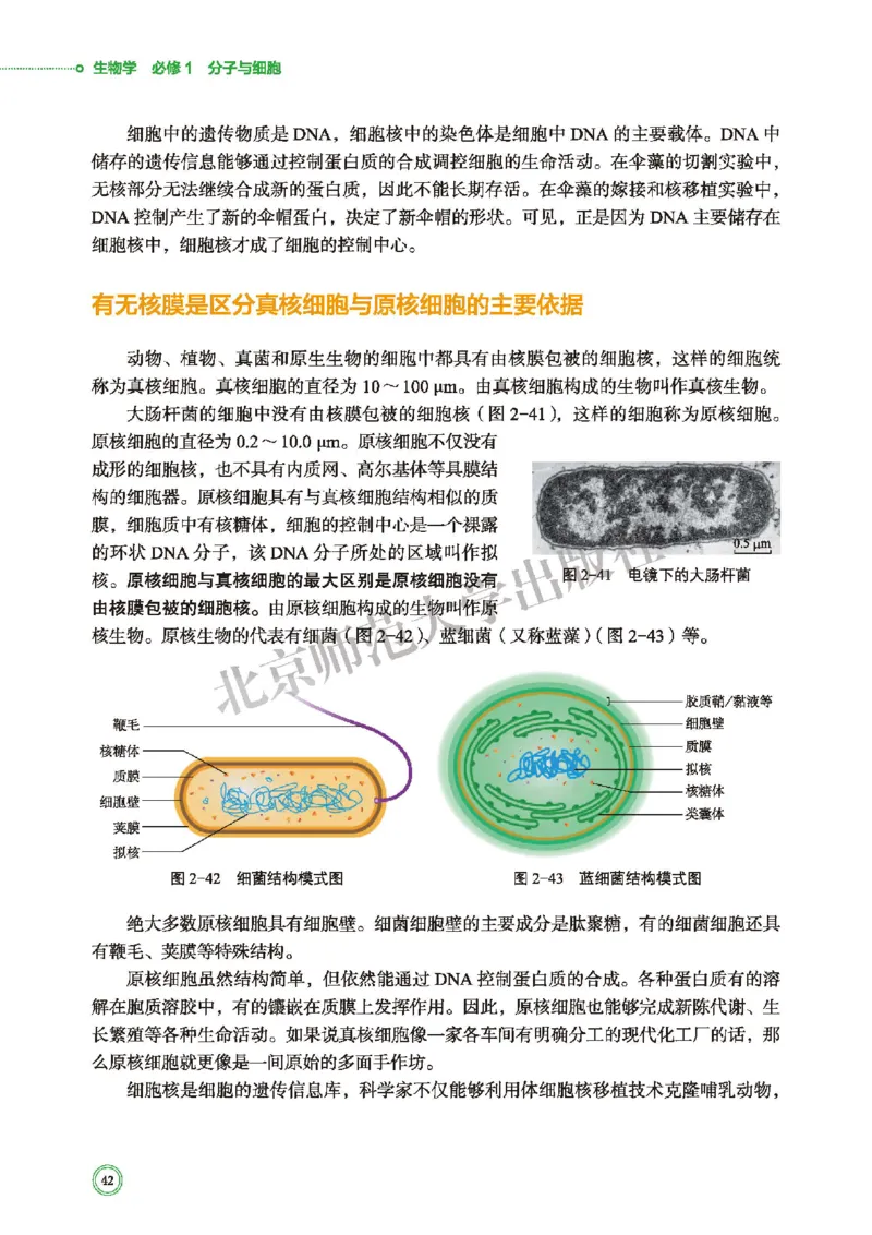 普通高中教科书&middot;生物学必修1分子与细胞(1)_高中全套电子教材及答案。_01高中电子教材全套_生物学_北师大版_高中年级_必修1分子与细胞