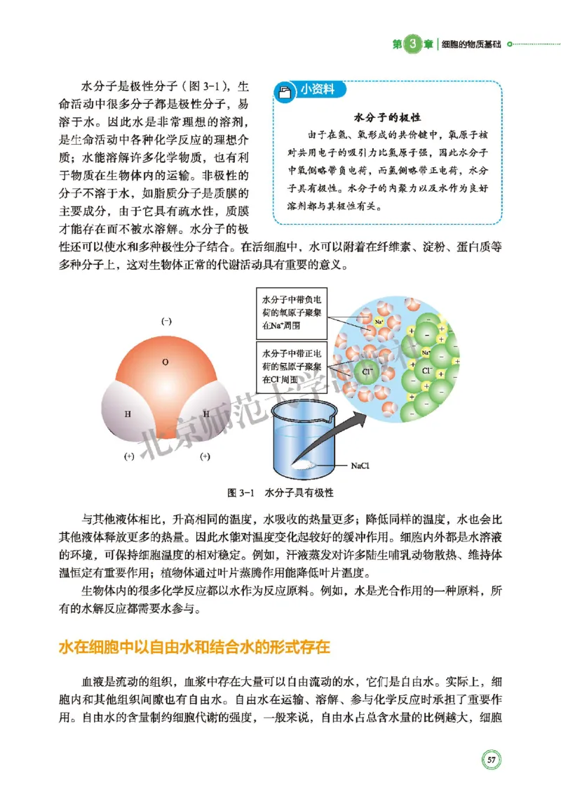 普通高中教科书&middot;生物学必修1分子与细胞(1)_高中全套电子教材及答案。_01高中电子教材全套_生物学_北师大版_高中年级_必修1分子与细胞