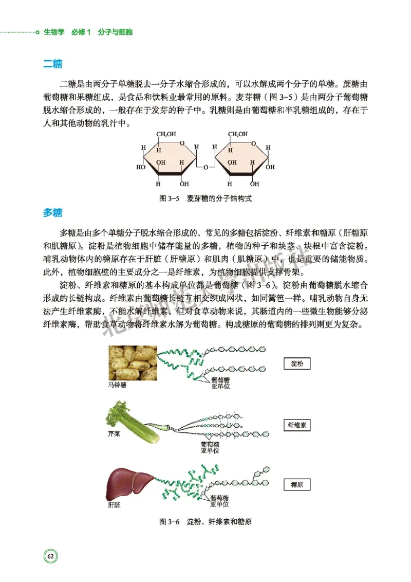 普通高中教科书&middot;生物学必修1分子与细胞(1)_高中全套电子教材及答案。_01高中电子教材全套_生物学_北师大版_高中年级_必修1分子与细胞
