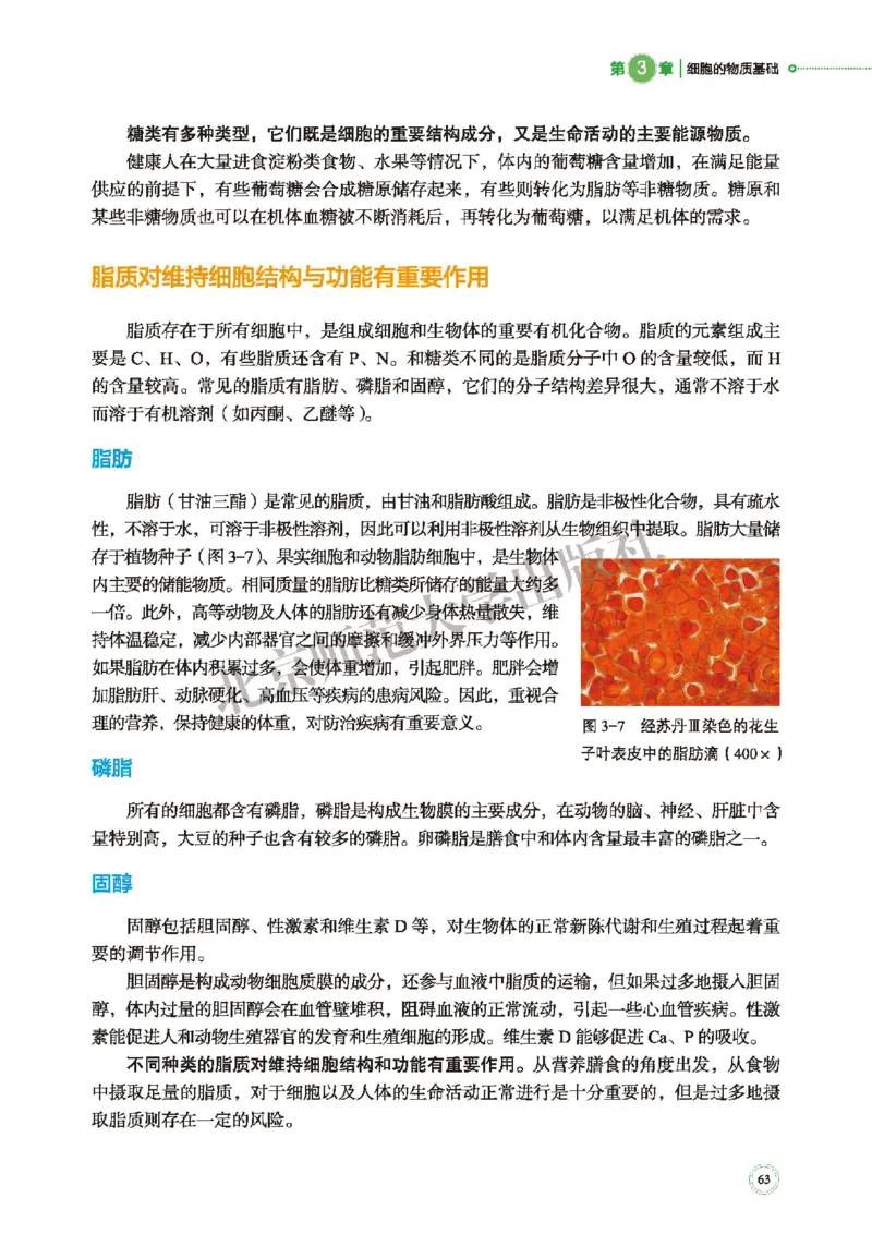 普通高中教科书&middot;生物学必修1分子与细胞(1)_高中全套电子教材及答案。_01高中电子教材全套_生物学_北师大版_高中年级_必修1分子与细胞