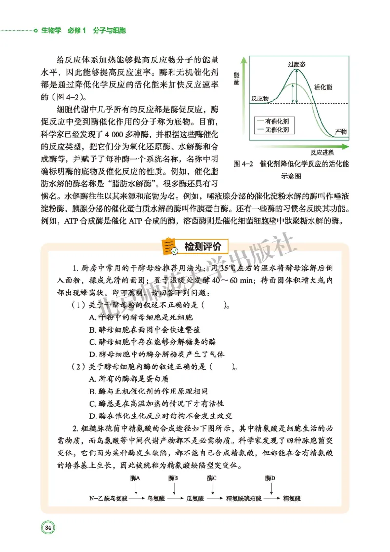 普通高中教科书&middot;生物学必修1分子与细胞(1)_高中全套电子教材及答案。_01高中电子教材全套_生物学_北师大版_高中年级_必修1分子与细胞