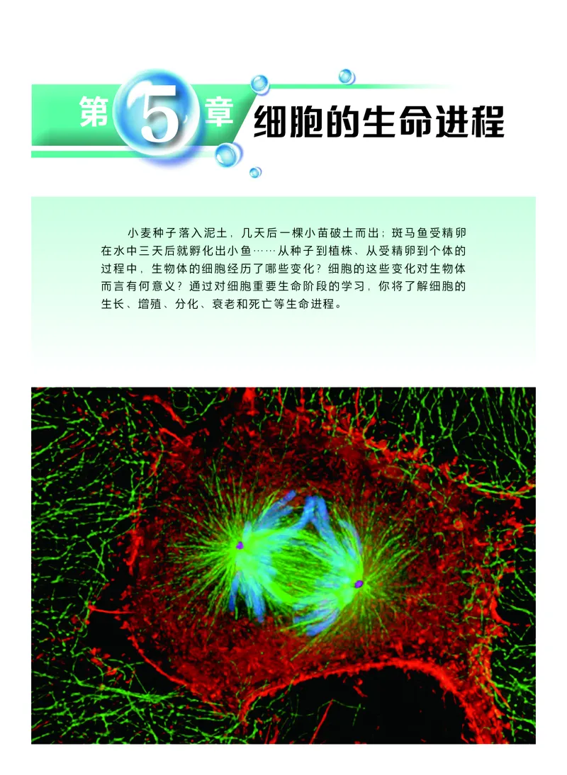 普通高中教科书&middot;生物学必修1分子与细胞(1)_高中全套电子教材及答案。_01高中电子教材全套_生物学_沪科技版_高中年级_必修1分子与细胞