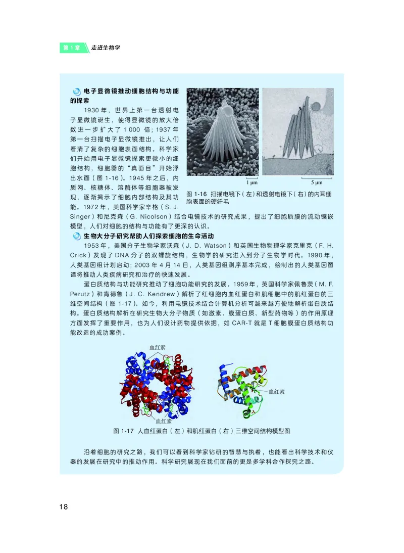 普通高中教科书&middot;生物学必修1分子与细胞(1)_高中全套电子教材及答案。_01高中电子教材全套_生物学_沪科技版_高中年级_必修1分子与细胞