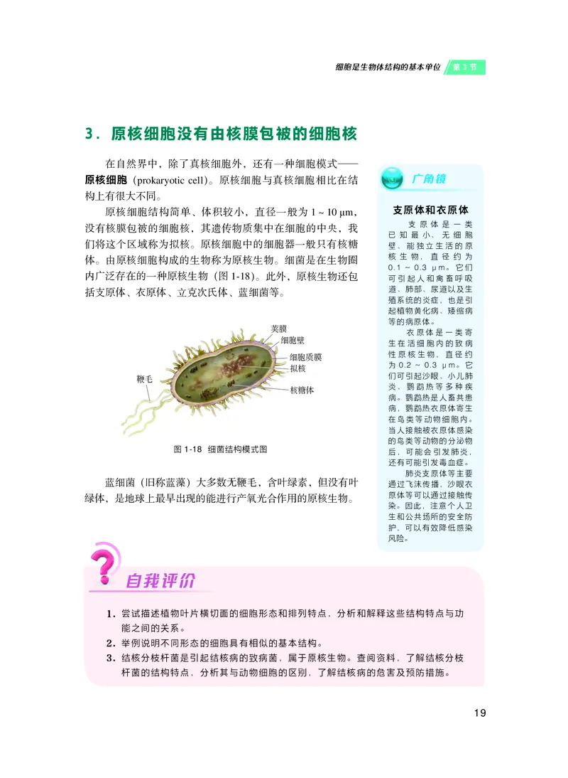普通高中教科书&middot;生物学必修1分子与细胞(1)_高中全套电子教材及答案。_01高中电子教材全套_生物学_沪科技版_高中年级_必修1分子与细胞