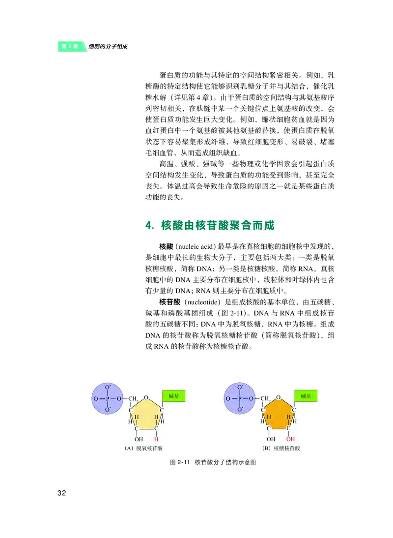 普通高中教科书&middot;生物学必修1分子与细胞(1)_高中全套电子教材及答案。_01高中电子教材全套_生物学_沪科技版_高中年级_必修1分子与细胞