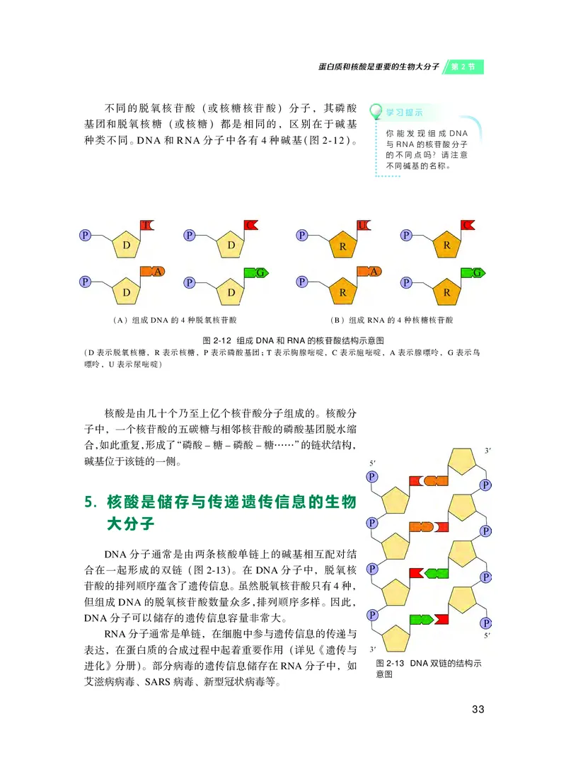 普通高中教科书&middot;生物学必修1分子与细胞(1)_高中全套电子教材及答案。_01高中电子教材全套_生物学_沪科技版_高中年级_必修1分子与细胞
