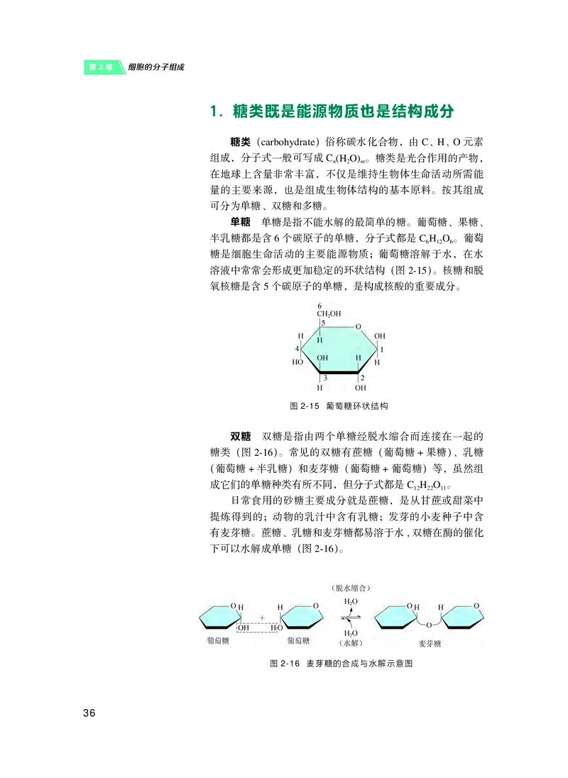 普通高中教科书&middot;生物学必修1分子与细胞(1)_高中全套电子教材及答案。_01高中电子教材全套_生物学_沪科技版_高中年级_必修1分子与细胞