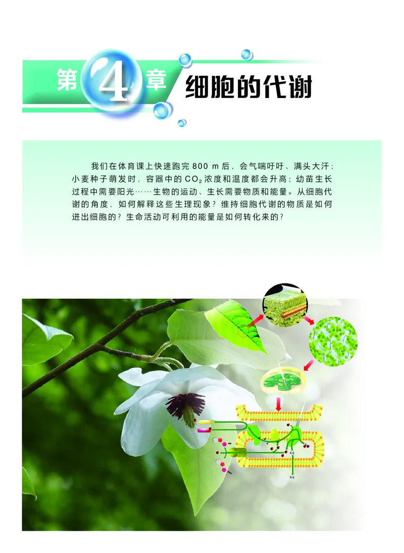 普通高中教科书&middot;生物学必修1分子与细胞(1)_高中全套电子教材及答案。_01高中电子教材全套_生物学_沪科技版_高中年级_必修1分子与细胞