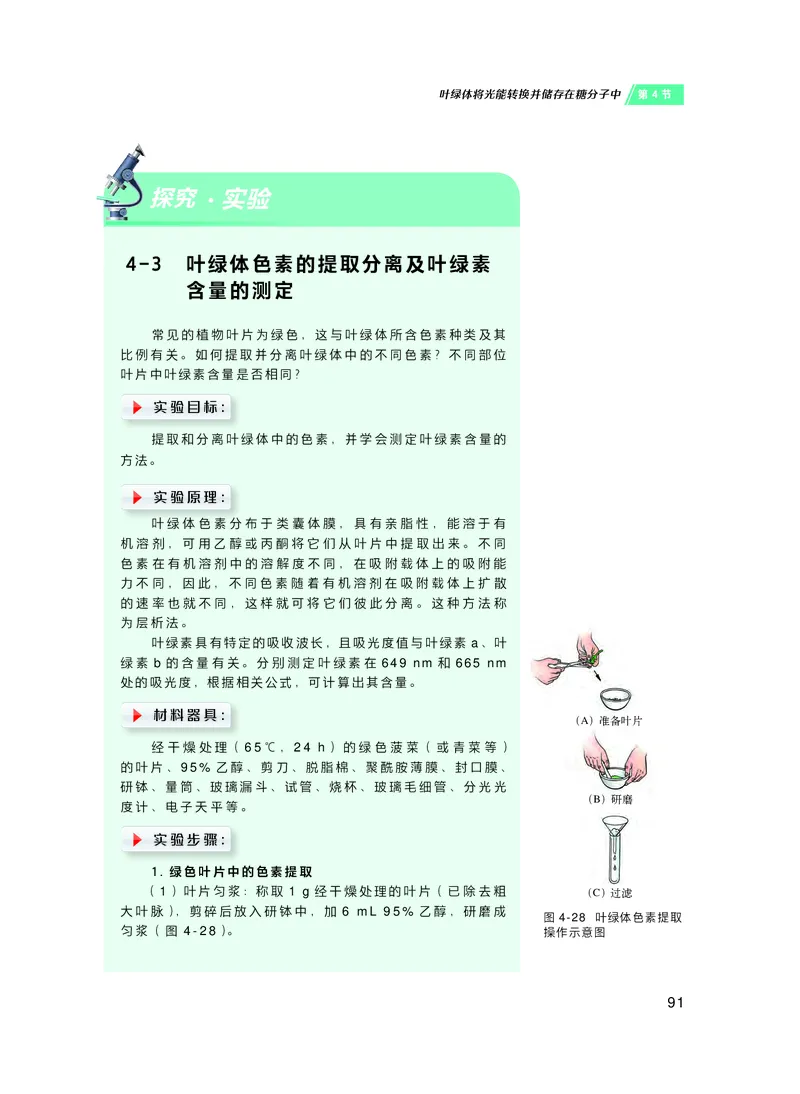 普通高中教科书&middot;生物学必修1分子与细胞(1)_高中全套电子教材及答案。_01高中电子教材全套_生物学_沪科技版_高中年级_必修1分子与细胞