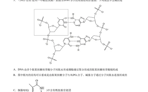 第35讲生命中的基础有机化学物质　合成有机高分子（练）-2023年高考化学一轮复习讲练测（全国通用）（解析版）_05高考化学_通用版（老高考）复习资料_2023年复习资料_一轮复习
