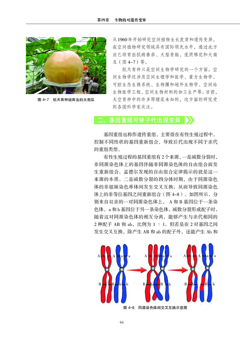 普通高中教科书&middot;生物学必修2遗传与进化(1)_高中全套电子教材及答案。_01高中电子教材全套_生物学_沪科教版_高中年级_必修2遗传与进化