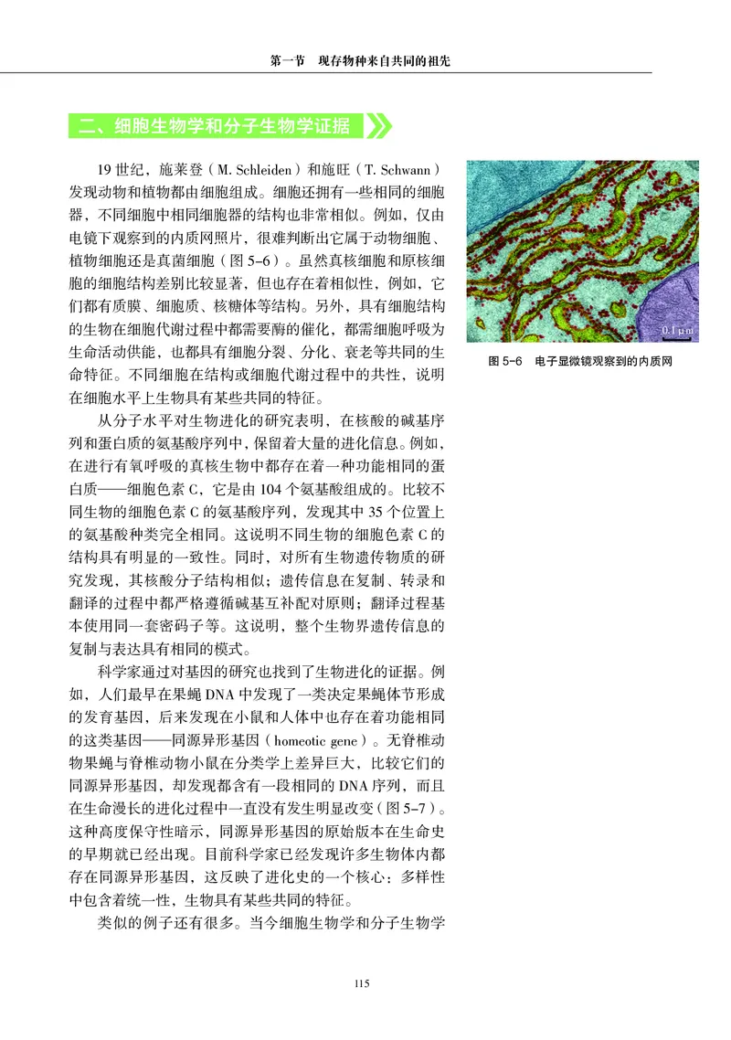 普通高中教科书&middot;生物学必修2遗传与进化(1)_高中全套电子教材及答案。_01高中电子教材全套_生物学_沪科教版_高中年级_必修2遗传与进化