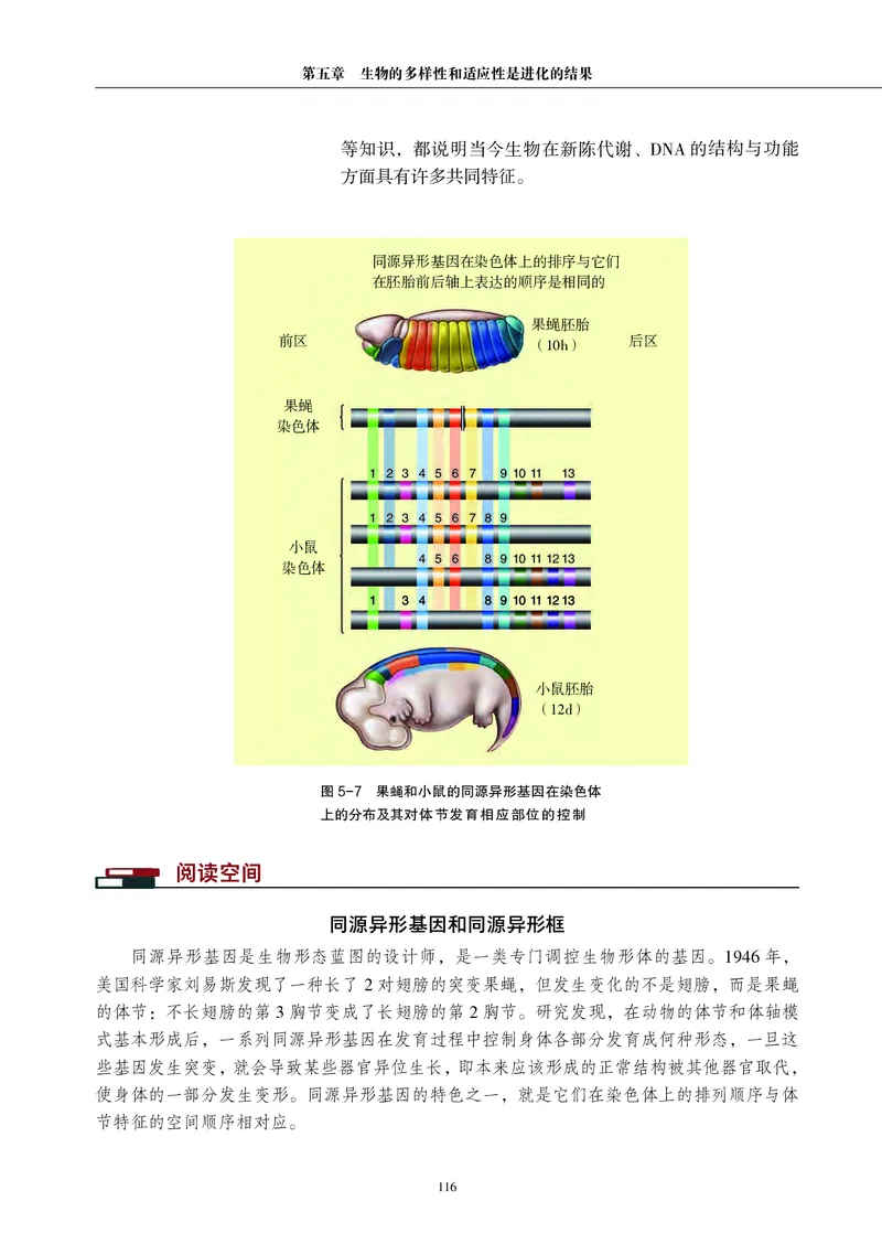 普通高中教科书&middot;生物学必修2遗传与进化(1)_高中全套电子教材及答案。_01高中电子教材全套_生物学_沪科教版_高中年级_必修2遗传与进化