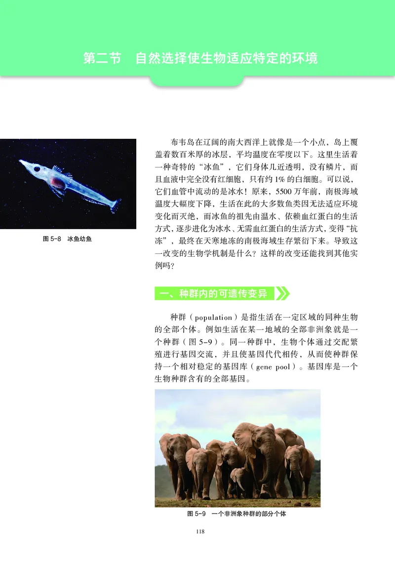 普通高中教科书&middot;生物学必修2遗传与进化(1)_高中全套电子教材及答案。_01高中电子教材全套_生物学_沪科教版_高中年级_必修2遗传与进化