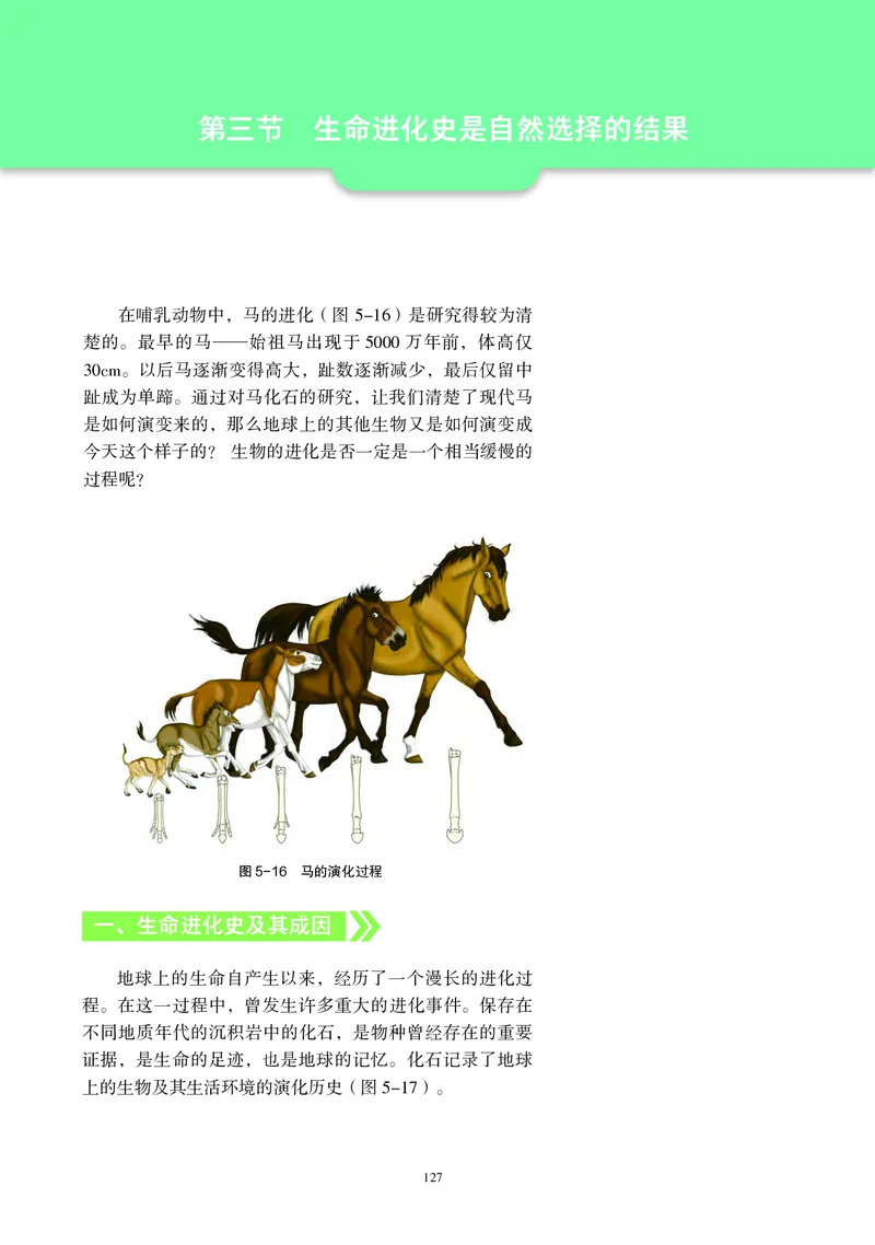 普通高中教科书&middot;生物学必修2遗传与进化(1)_高中全套电子教材及答案。_01高中电子教材全套_生物学_沪科教版_高中年级_必修2遗传与进化